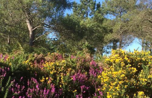 Kerellouan Family house 8 near Beach Cap Frehel - Foto 16