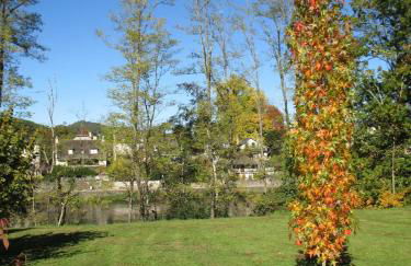 Maison tout confort avec piscine chauffée au bord des rives de la Dordogne - Foto 33