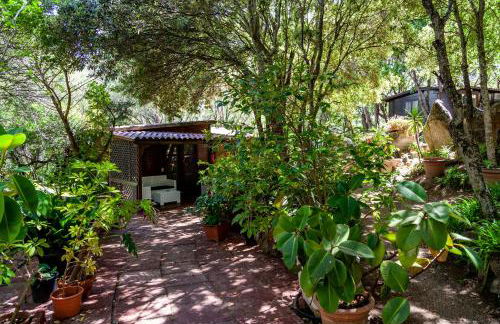 Casa Saltara - Foto 37