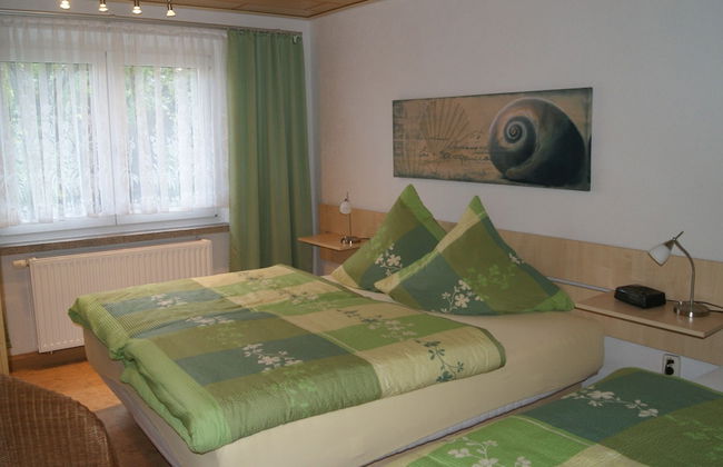 Ferienwohnungen Elsterblick - Foto 9