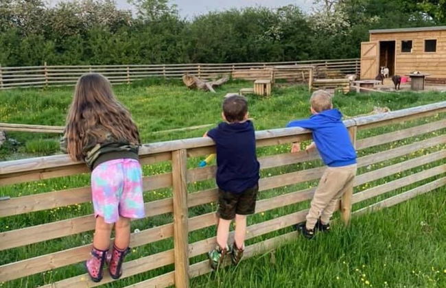 Beech Pod Cabin in Beautiful Surroundings Wrexham - Photo 26