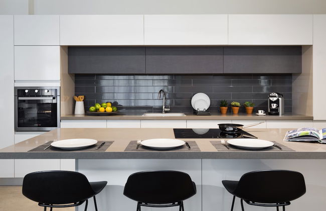 master Shenkin - Foto 25