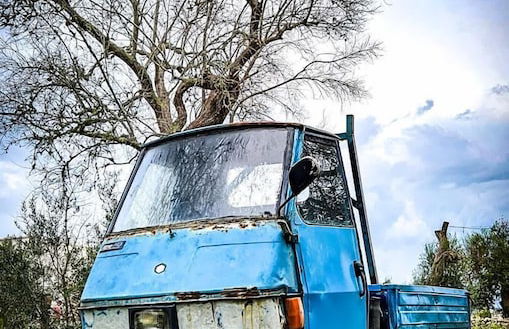 Tenuta Puloni - Foto 45