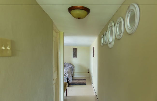 Hartland Sunshine - Foto 40