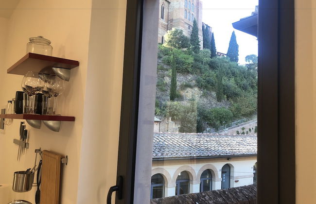 Siena Vip - Photo 44