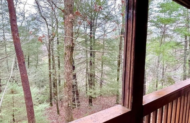 Perfectly private! Hot tub, king sized bed, grill, washer/dryer, and motorcycle friendly! Studio Cabin by RedAwning - Foto 22