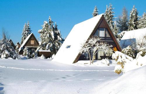 Tennenbronn Holiday Park, Tennenbronn - Foto 2