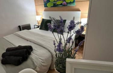 Tranquilo apto ideal paraTurismo Rural y Relax - Foto 53