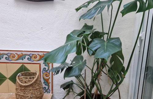 Ca la Teia - Foto 28