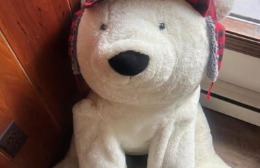 Lake Naomi Retreat Family Fun & Games - Foto 26