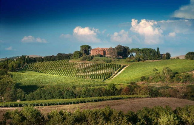 Montalcino Wine Tasting - Photo 2