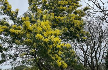 Les Hauts de Locmiquel apartment with private heated pool - Photo 25