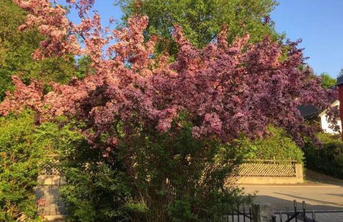 Long 4 stars with balcony - Foto 10