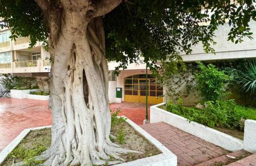 Apartsalou Masia - Foto 14