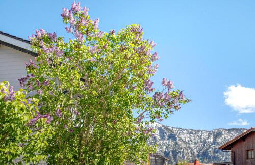 Im Spatzennest - Foto 19