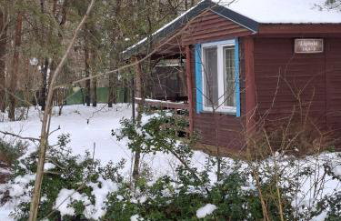 Leśny Zakątek Lipinki Bory Tucholskie - sauna - Foto 37