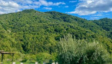 Agriturismo Piano di Andrea - Foto 2