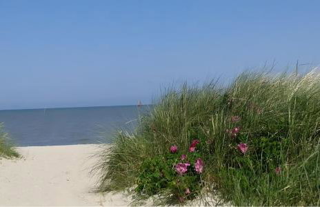Ferienwohnungen Felix und Jan - Foto 41