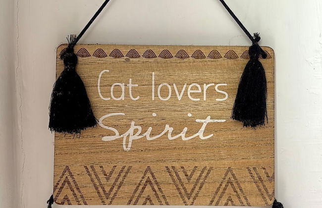 Movida Inn Aruba - Foto 24