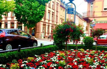 Altbauwohnung am Gutenbergplatz - Foto 2