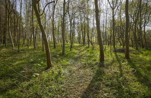 2 Bed in Boltongate SZ396 - Foto 13