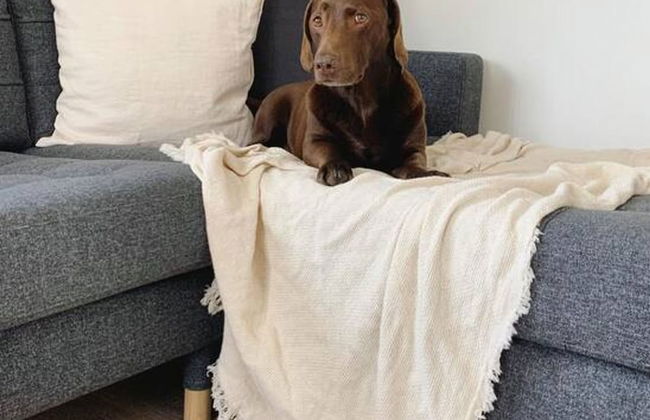 Stylish Self-contained Countryside Accommodation - Foto 19