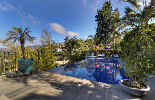 Dazkarizeh73 - Photo 6