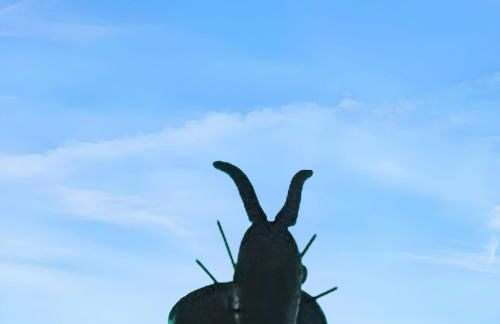 Cozy studio with mountain view - 20 m² - Águeda - Foto 44