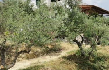 Haus mit Pool im Olivenhain - Foto 5