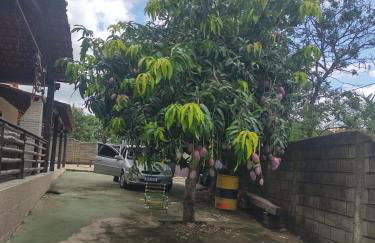 Sítio em Pedro Leopoldo - Foto 13