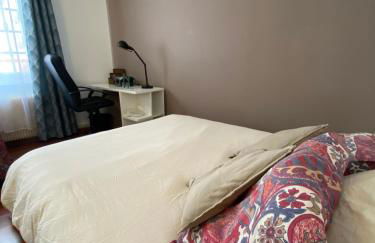 Studio miroir-arrivée autonome-animal ok - Photo 37