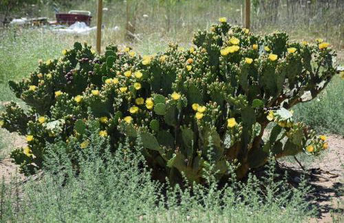 Holiday Menfi | Casale Abate - Foto 45