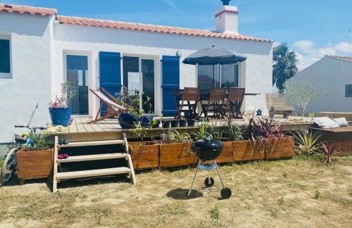 Les ptits marins cordés - Photo 10