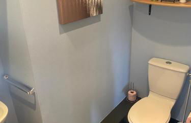 La Gentiane bleue, vue lac Saint Point - Foto 21