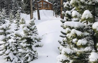 Amazing Views Day & Night Plus Private Hot Tub - Lunar View Lodge - Foto 4