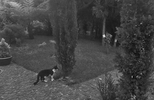 Casa da Portada - Foto 12