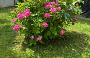 A casa di Vanna - Foto 17