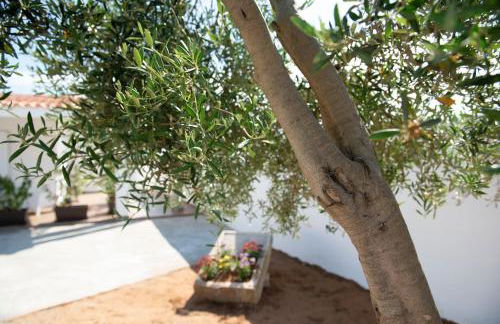 Le Casette di Alice - Foto 25