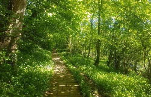 Otter Lodge - Photo 23