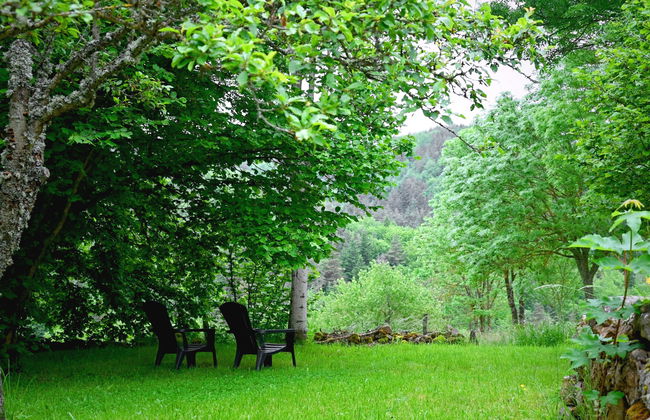 L'Assemblée - Foto 11