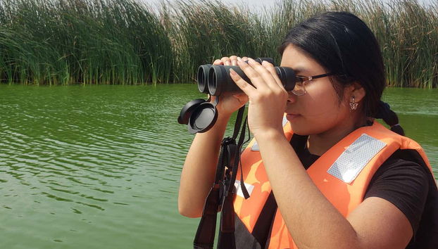 Vous pourrez observer une grande diversité d'oiseaux