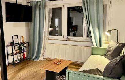 Wohlfühlwohnung mit Dachterrasse - Foto 6