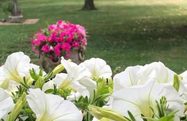 Casa Gina & Jeto - Foto 38