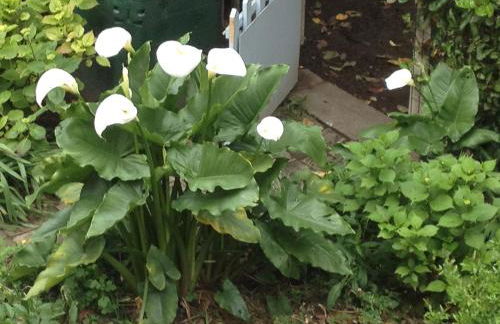 La petite Maison dans la Croix Rousse - Foto 42