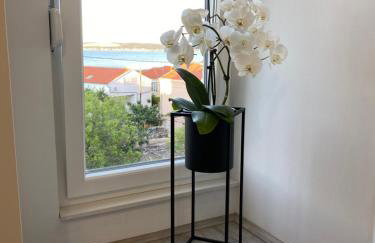 Apartmani Mia - Foto 30