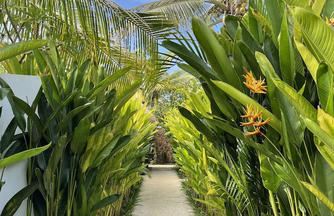 Kalea Villas - Foto 51