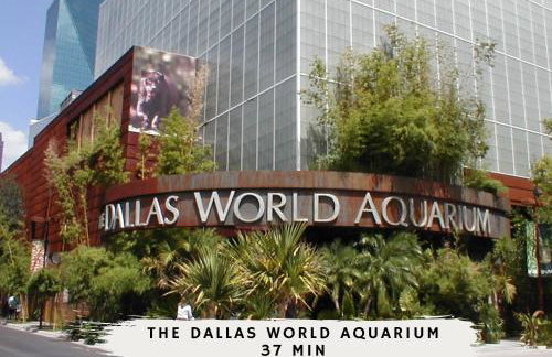 Best of Garland Pool Cinema Rm BBQ 3BD - Foto 46