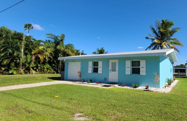 16316 Tortuga - Photo 23