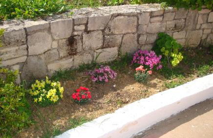 Calamon Apartments - Foto 27