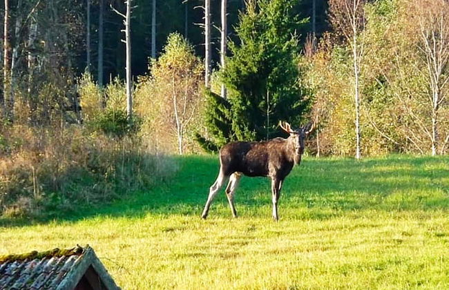 4 Person Holiday Home in Stromstad - Foto 10